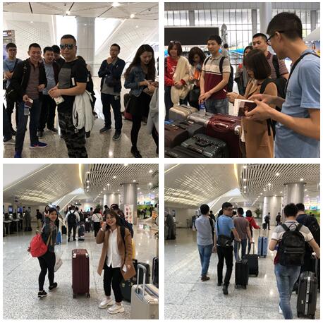 不負(fù)春色不負(fù)花—城茗國(guó)際日本櫻花之旅 不負(fù)春色不負(fù)花—城茗國(guó)際日本櫻花之旅