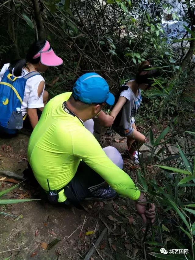 快上車，小編帶你去巡山