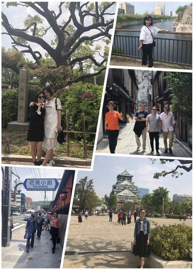 不負(fù)春色不負(fù)花—城茗國(guó)際日本櫻花之旅 不負(fù)春色不負(fù)花—城茗國(guó)際日本櫻花之旅