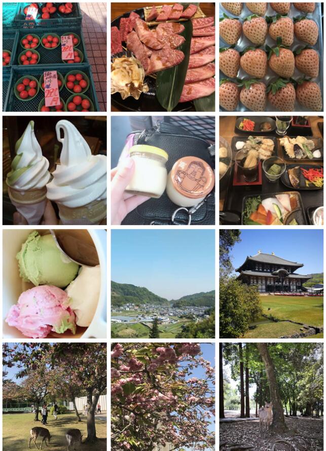 不負(fù)春色不負(fù)花—城茗國(guó)際日本櫻花之旅 不負(fù)春色不負(fù)花—城茗國(guó)際日本櫻花之旅